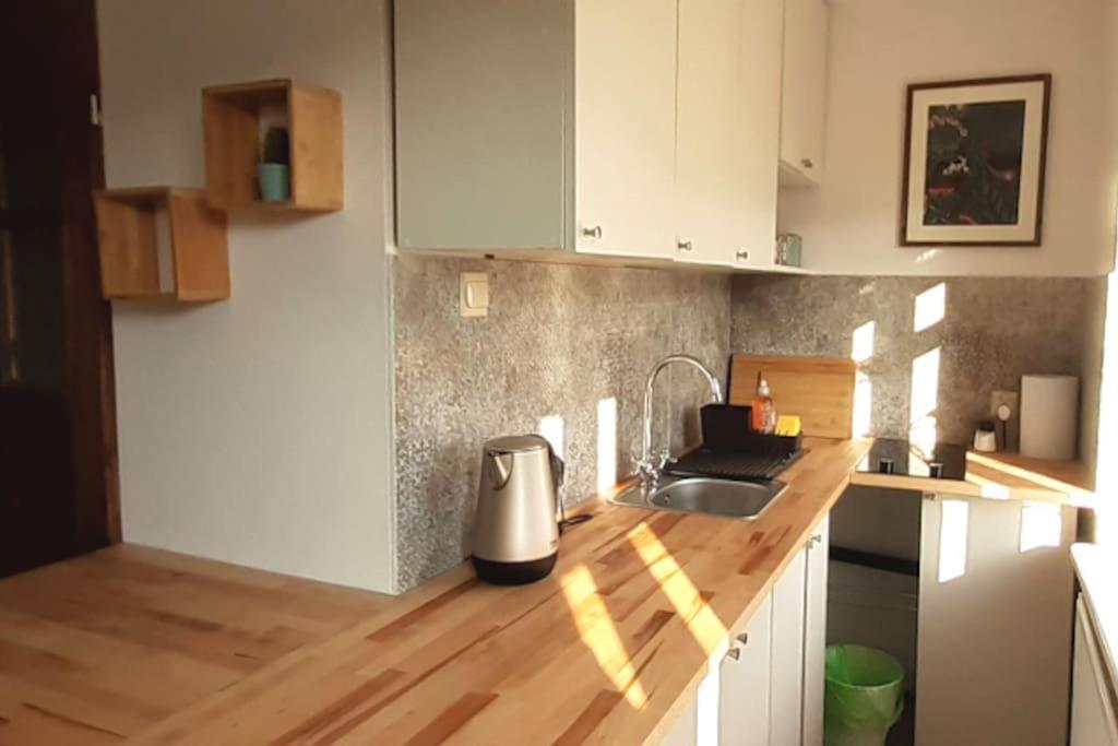 Lemuria Apartament Szkolna Centrum Legnica Eksteriør billede