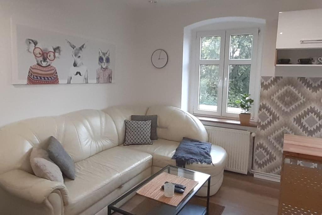 Lemuria Apartament Szkolna Centrum Legnica Eksteriør billede