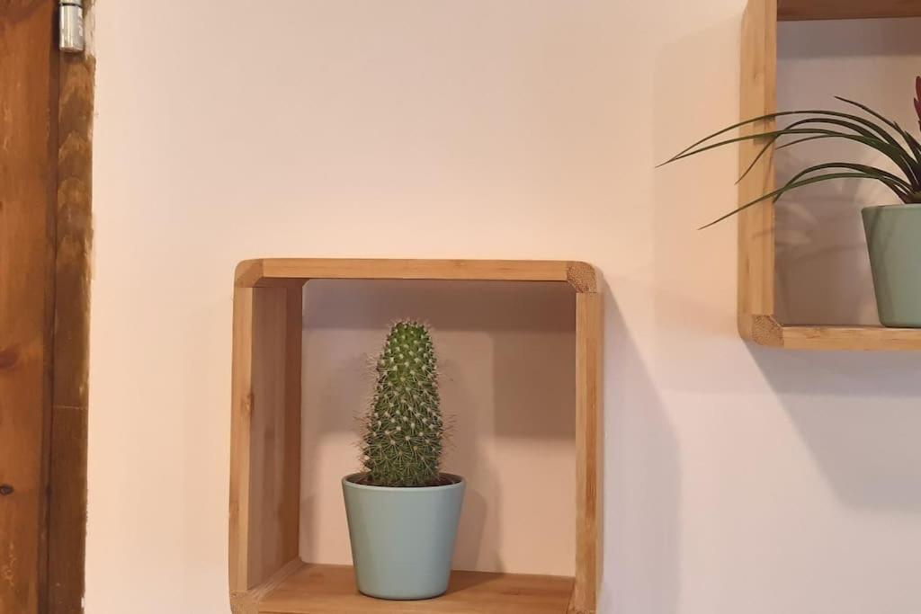 Lemuria Apartament Szkolna Centrum Legnica Eksteriør billede