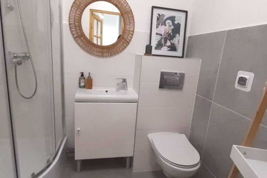 Lemuria Apartament Szkolna Centrum Legnica Eksteriør billede